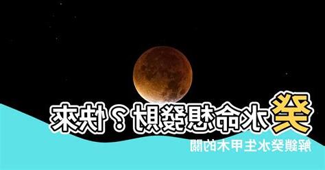 癸水 甲木